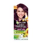 Garnier Hair Color